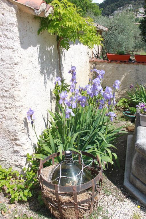 Amour Provence Сегюре Экстерьер фото